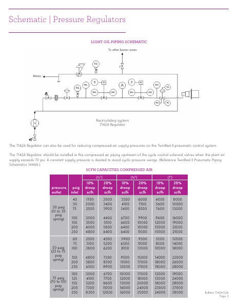 Catalog Combustion 2021 -...