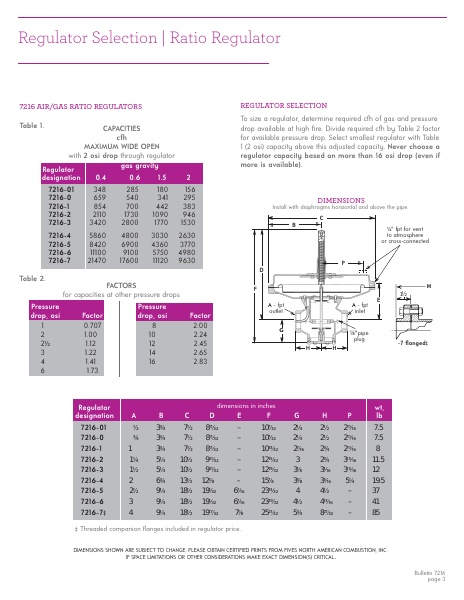 Catalog Combustion 2021 -...
