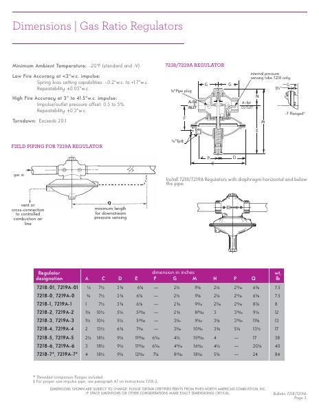 Catalog Combustion 2021 -...