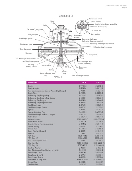 Catalog Combustion 2021 -...