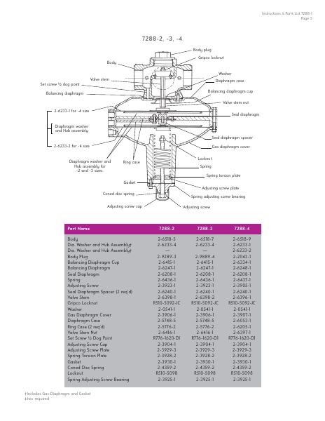 Catalog Combustion 2021 -...