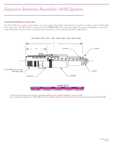 Catalog Combustion 2021 -...