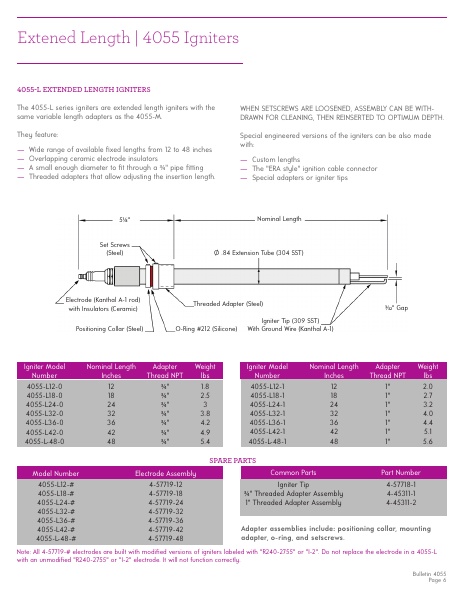 Catalog Combustion 2021 -...