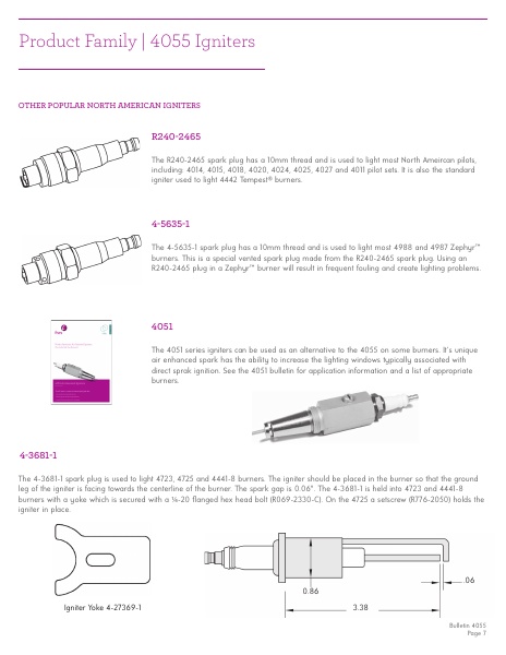 Catalog Combustion 2021 -...