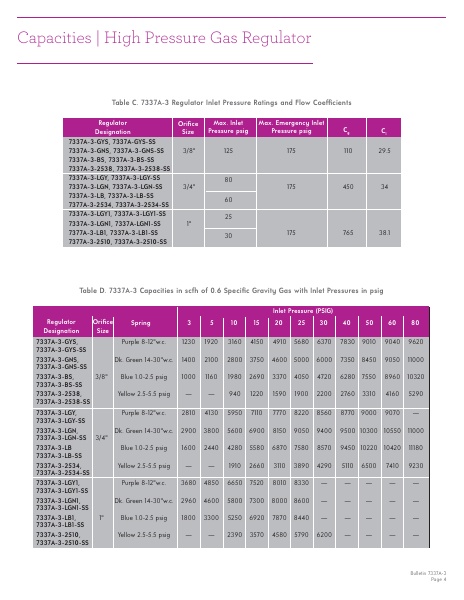 Catalog Combustion 2021 -...