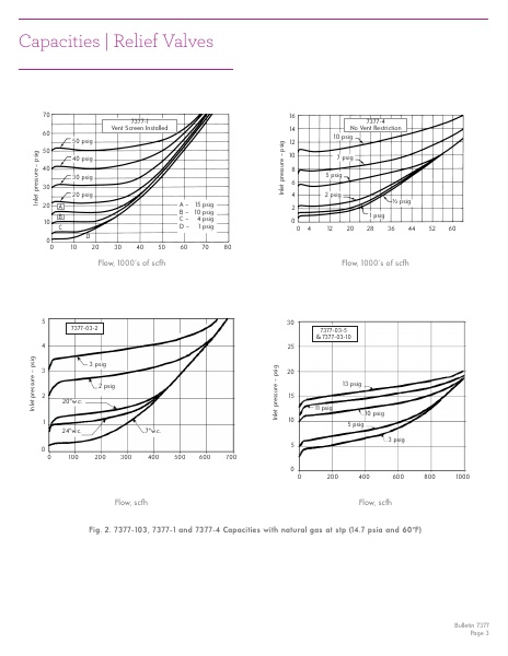 Catalog Combustion 2021 -...