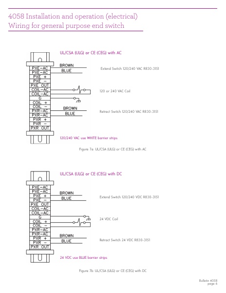 Catalog Combustion 2021 -...