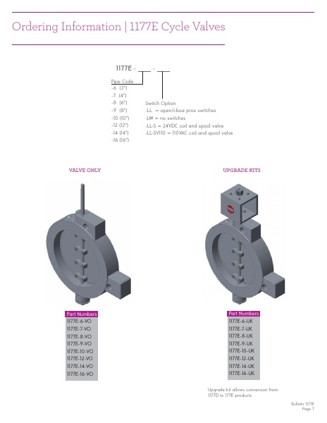 Catalog Combustion 2021 -...