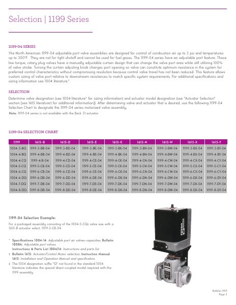 Catalog Combustion 2021 -...