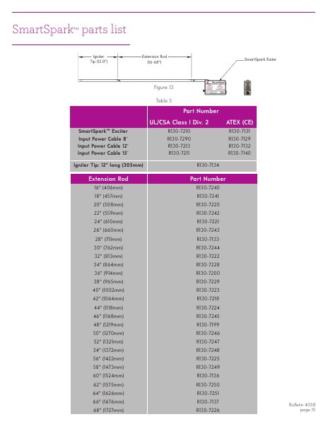 Catalog Combustion 2021 -...