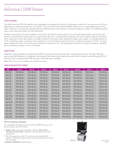 Catalog Combustion 2021 -...