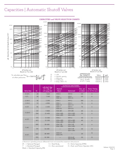 Catalog Combustion 2021 -...