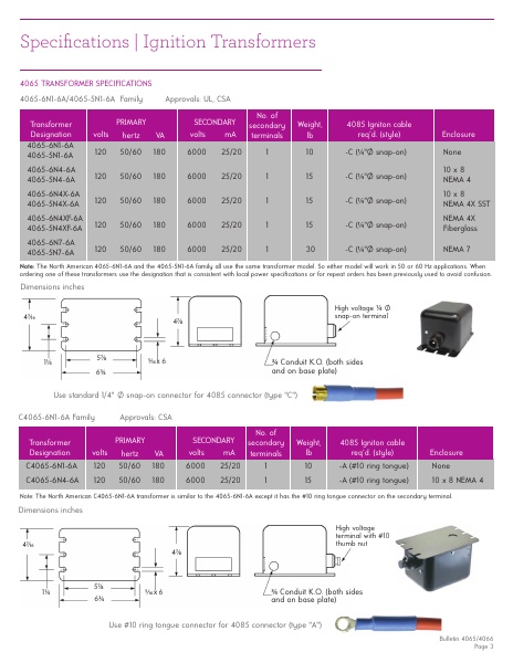 Catalog Combustion 2021 -...
