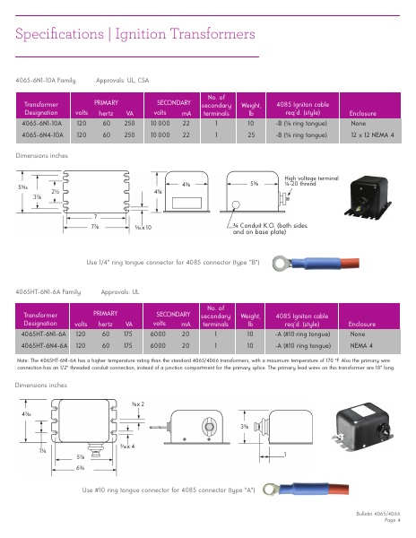 Catalog Combustion 2021 -...