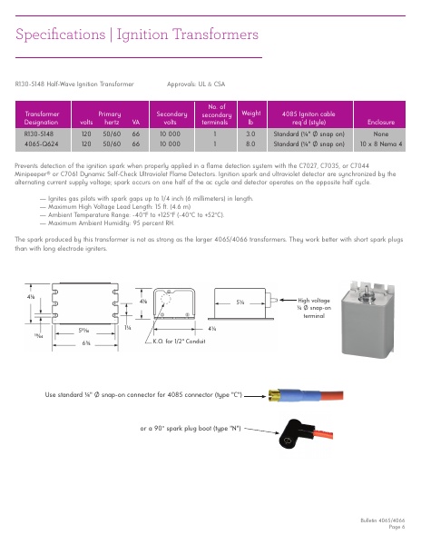 Catalog Combustion 2021 -...