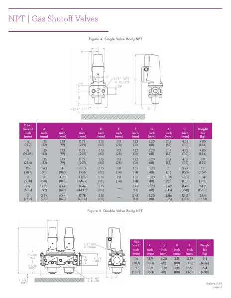 Catalog Combustion 2021 -...
