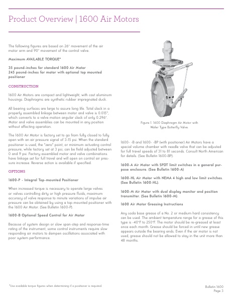 Catalog Combustion 2021 -...