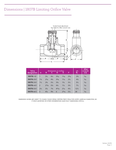 Catalog Combustion 2021 -...