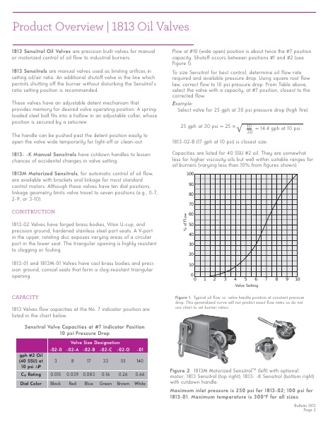 Catalog Combustion 2021 -...