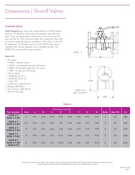 Catalog Combustion 2021 -...