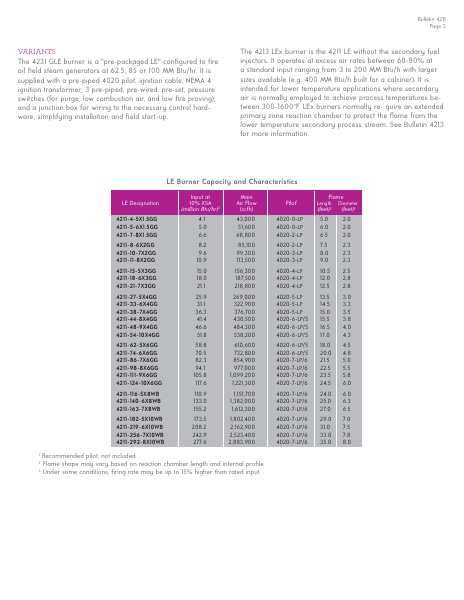 Catalog Combustion 2021 -...