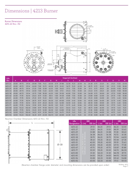 Catalog Combustion 2021 -...