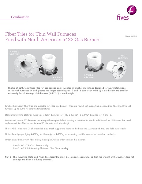 Catalog Combustion 2021 -...