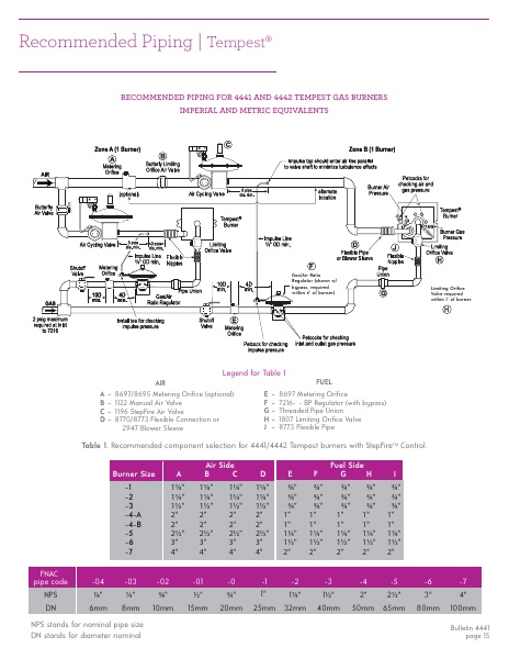 Catalog Combustion 2021 -...