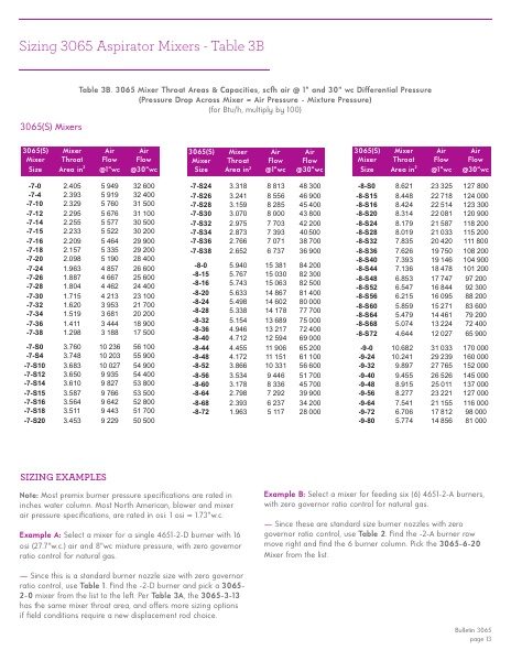 Catalog Combustion 2021 -...