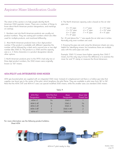 Catalog Combustion 2021 -...