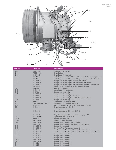 Catalog Combustion 2021 -...