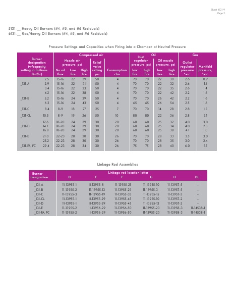 Catalog Combustion 2021 -...