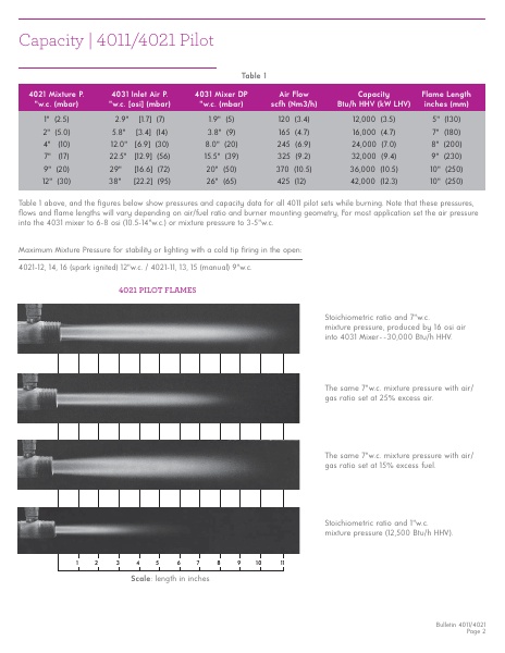 Catalog Combustion 2021 -...