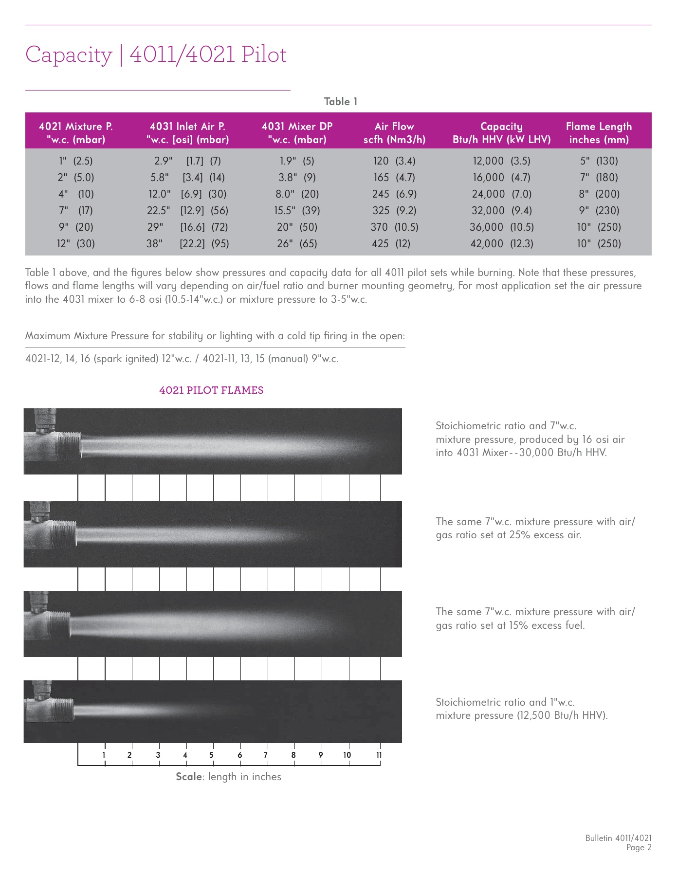 Fives Group - Catalog Combustion 2021 - Page 0061