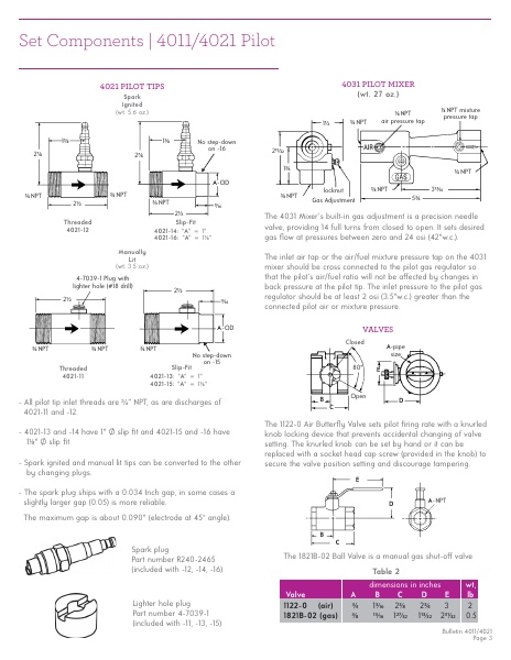 Catalog Combustion 2021 -...