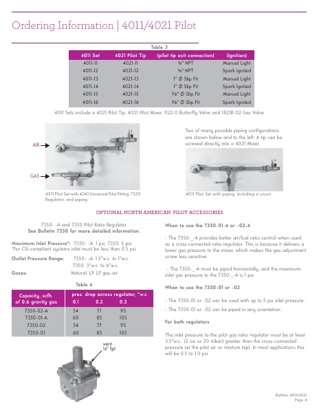 Catalog Combustion 2021 -...