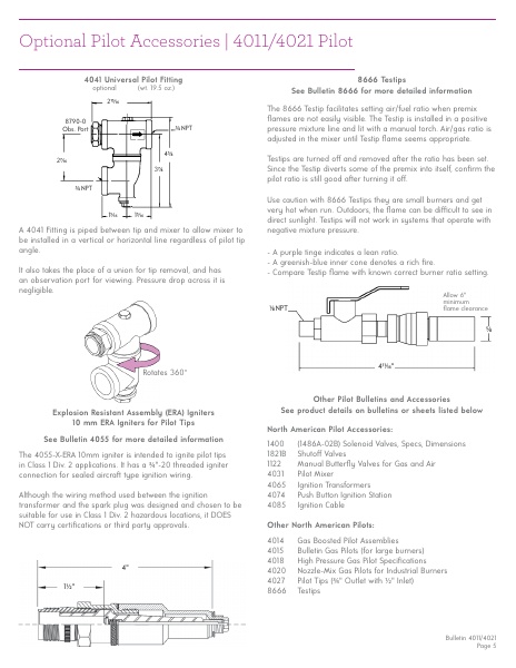 Catalog Combustion 2021 -...
