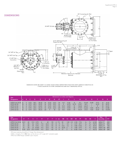 Catalog Combustion 2021 -...