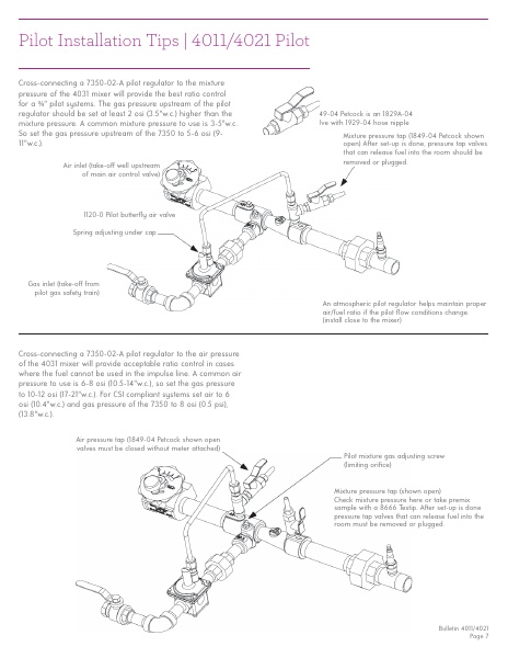 Catalog Combustion 2021 -...
