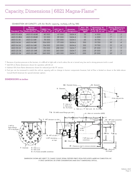 Catalog Combustion 2021 -...