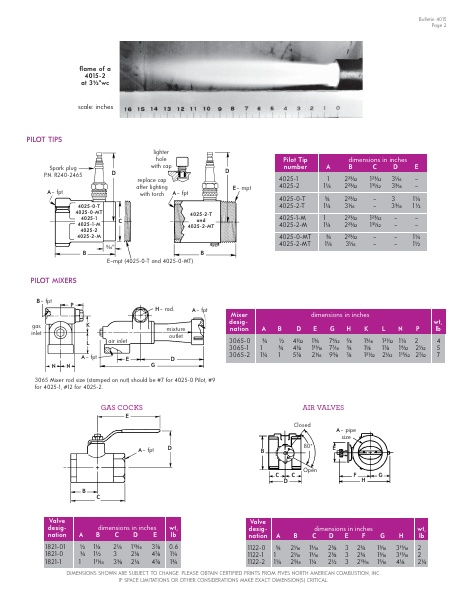 Catalog Combustion 2021 -...